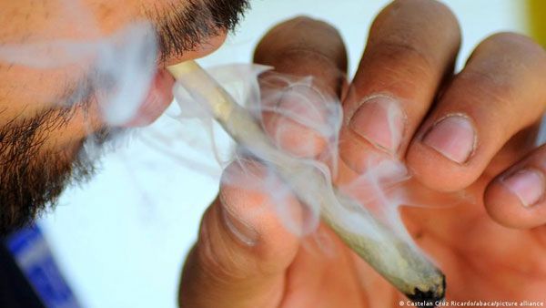 UN: Legalisation of cannabis increases its regular use