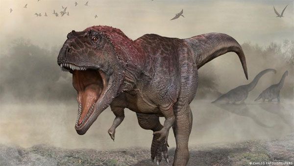 Argentina: Scientists discover giant dinosaur 'Meraxes'