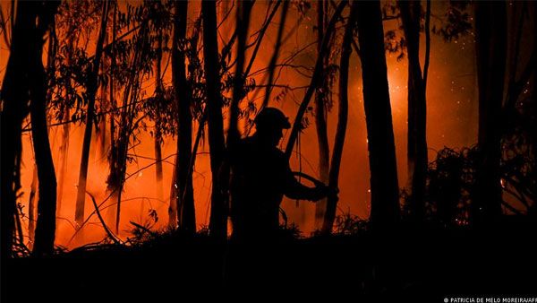 Wildfires engulf parts of Portugal amid heatwave