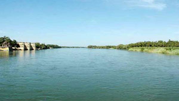 Karnataka govt collaborates with Isha Outreach to boost tree-based agriculture in Cauvery basin