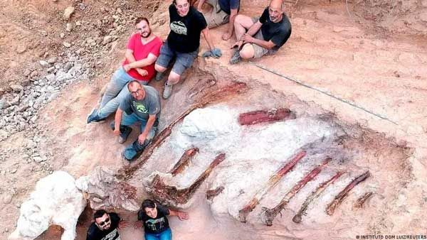 Portugal: Remains of large dinosaur skeleton unearthed