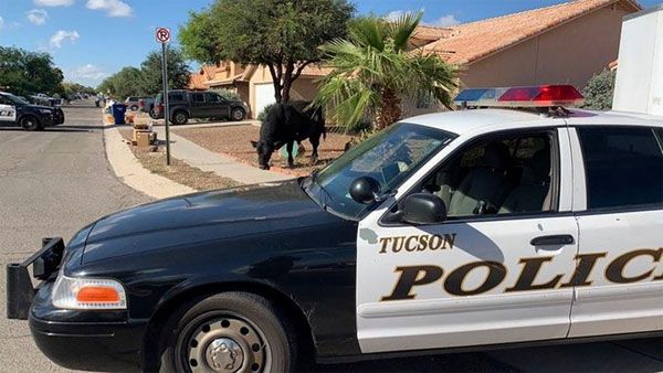 3 civilians and a cop killed in Tucson apartment shooting