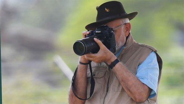 While cheetahs return to India, Cong accuses PM Modi of 'tamasha'