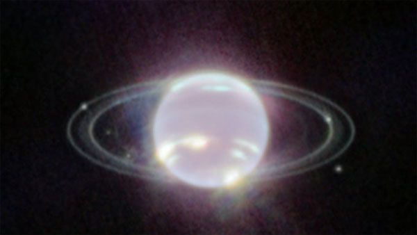 This photo captured by Webb telescope offers rare and clearest view of Neptune and its rings