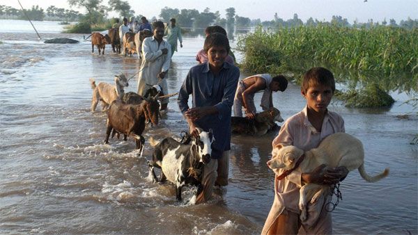 After floods, now Pak farmers fear hunger as fields submerged