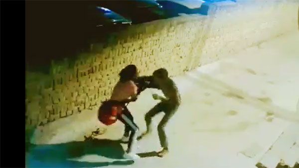 Watch: In Delhi's Badarpur, brave woman fights off mobile snatcher