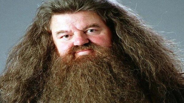 'There's no Hogwarts without you, Hagrid': Twitter pays rich tribute to Robbie Coltrane