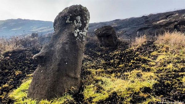 Easter Island wildfire chars famous moai statues