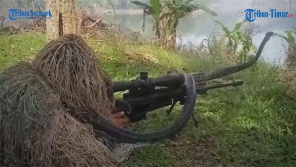 Fact Check: Snake coiling itself around Army sniper is from Indonesia, not India