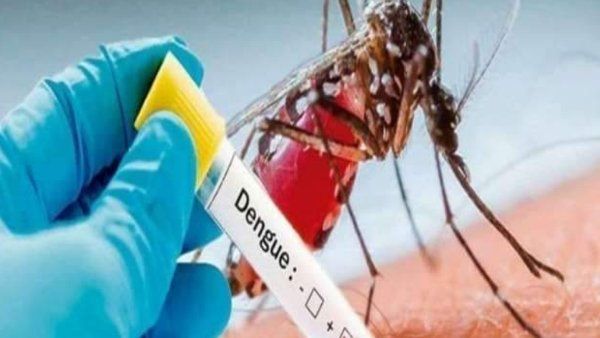 UP registers 18,000 dengue cases this year