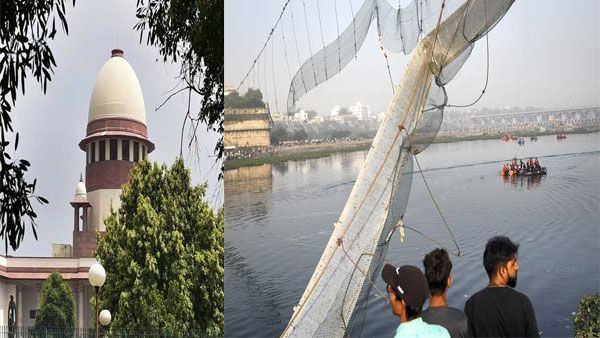 SC to hear on Nov 14 plea seeking judicial probe into Gujarat bridge collapse