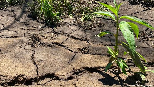 How to protect soil from future drought and heat waves