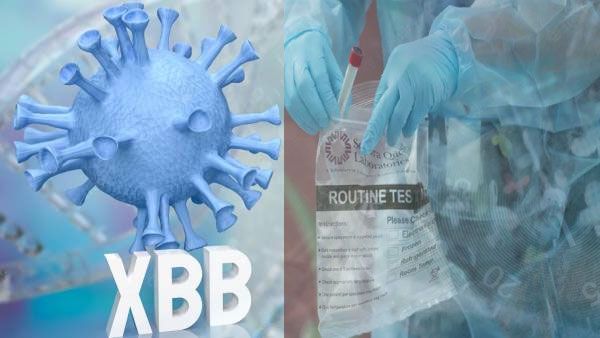 India reports first case of Omicron's XBB.1.5 variant that's behind US surge