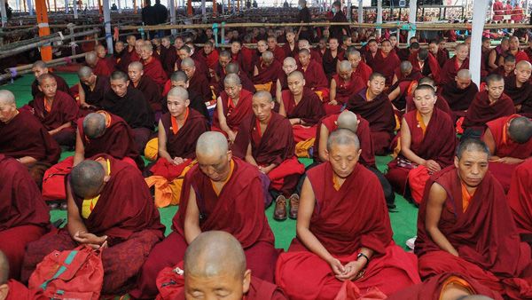 Study on Tibetan monks finds meditation significantly improves gut health