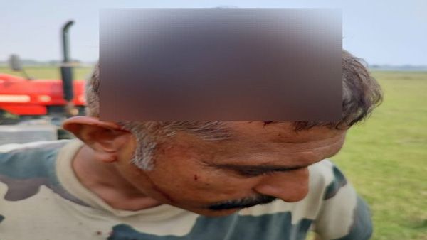 Crackdown on cattle trade has increased the aggression by the Bangladeshis