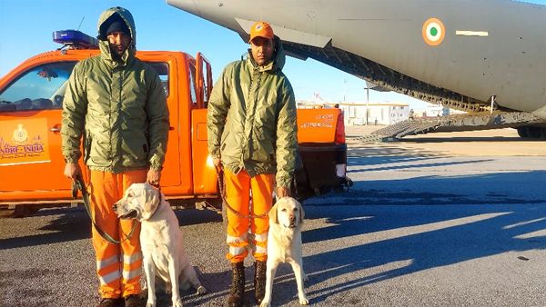 How NDRF’s canines, Romeo, Julie, Honey, Rambo are proving to be stars in Turkey