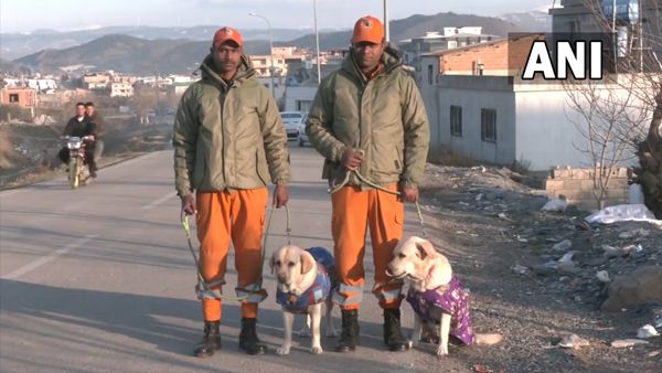 How India's pawsome rescue team saved 6-year-old girl trapped under debris in earthquake-hit Turkey