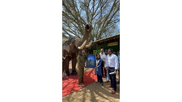 TN's pride Kumki elephant Kaleem involved in 99 rescue operations retires at 60