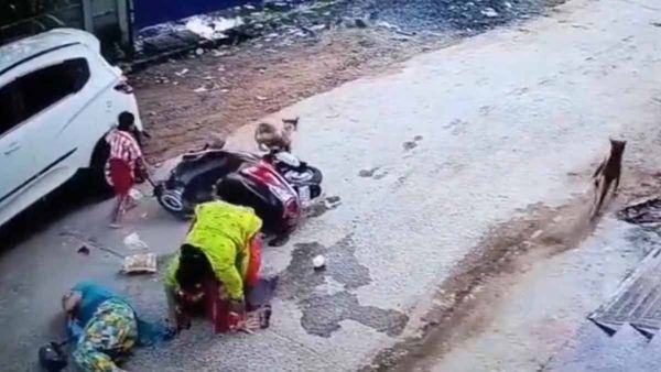 Fact Check: Video of dogs chasing women not from Hyderabad