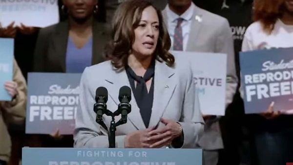 Fact Check: Was Kamala Harris drunk when she made this speech?