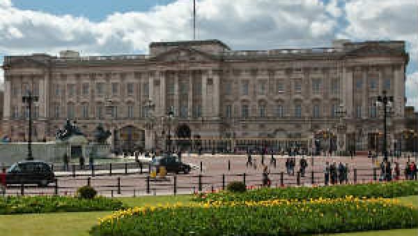 Man arrested outside Buckingham Palace for throwing shotgun cartridges