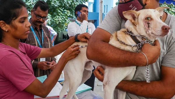How political will turned Goa into India's first rabies-controlled State