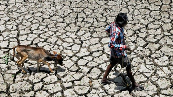 Delayed Monsoon May Push Telangana Into A Drought-Like Situation