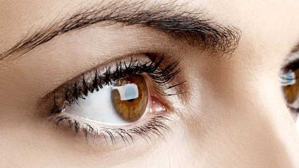 Gujarat firm Gets Notice For Contamination Probe After Eye Infections Reported By Sri Lanka