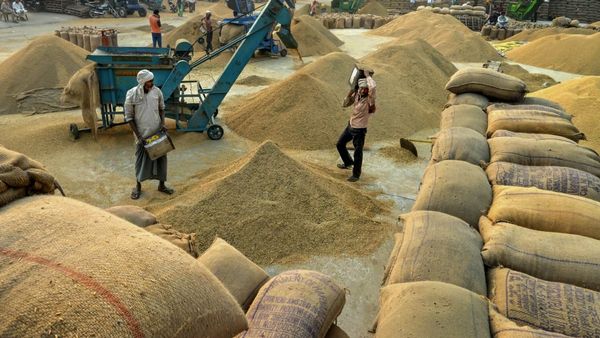 830 LT Paddy Procured Benefiting 1.22 Crore Farmers This Kharif