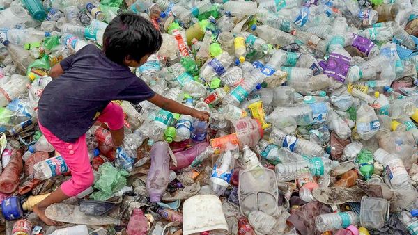 World Environment Day 2023: Date, Theme And Quotes To Share With Friends