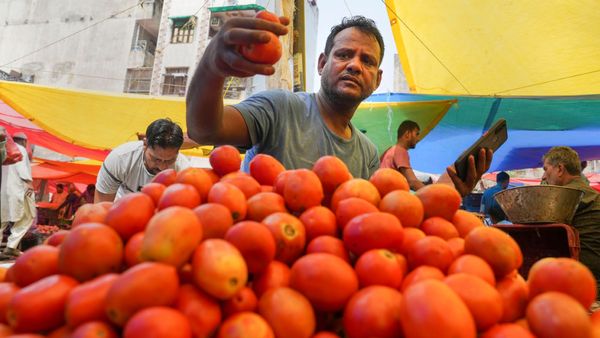 Tomato Price Shoots Up To Rs 100/kg: Check Latest Rates