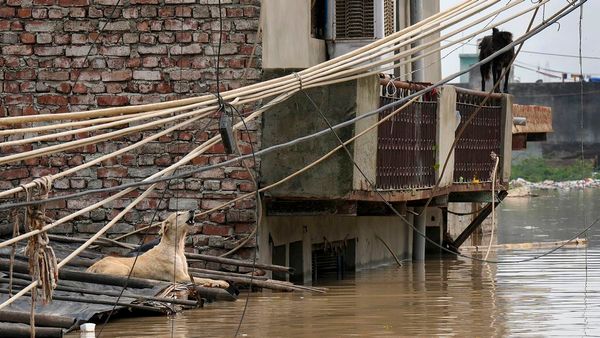 Delhi: Yamuna Level Stabilises; Many Areas Inundated, Drinking Water Shortage Likely