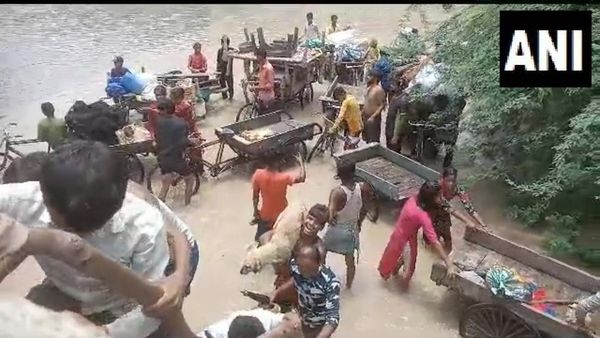 Delhi Flood: How A Few Good Folk Are Saving Animals