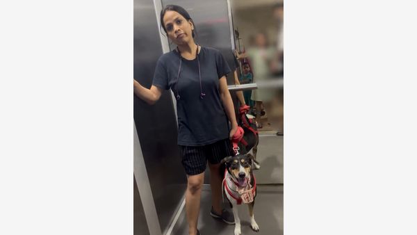 Verbal Spat Over Dog Muzzle Goes Viral, Noida Dog Owner Speaks Out Against Abuse