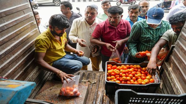 Tomato Rates Reduced To Rs 80 Per Kg In Delhi, Other Cities: Check Details