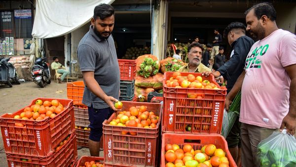 Bouncers To Protect Tomatoes In UP, Free Tomatoes With Smartphone In MP