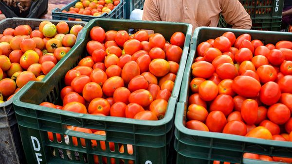Tomato Prices Likely To Touch Rs 300 Per Kg In Weeks Ahead