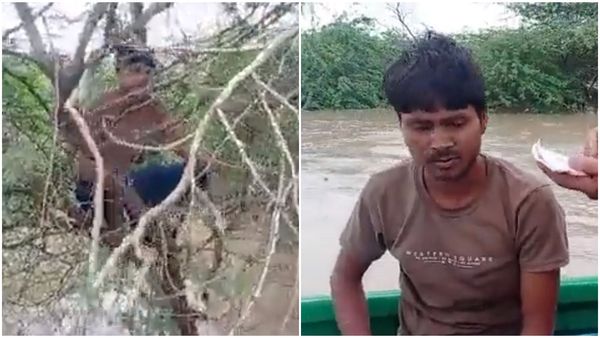 This Man Sat On Tree For 22 Hours To Save Himself From Yamuna Flood
