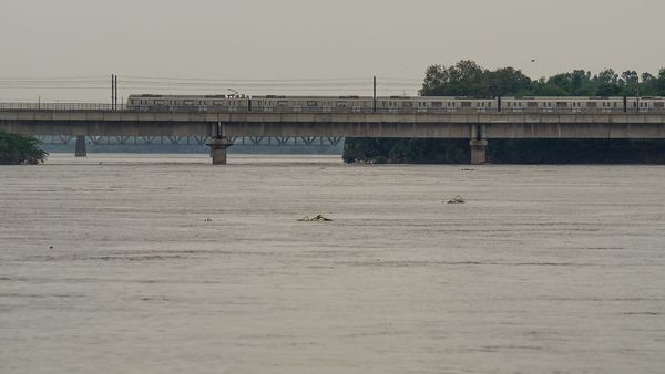 Yamuna Water Level Going Down, Nothing To Worry About, Says Delhi Minister