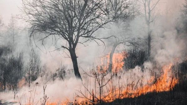 Maui Wildfire Claims 67 Lives, Most Deadly Disaster in Hawaii History