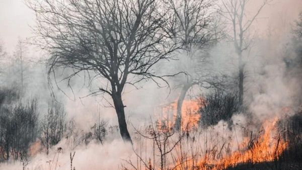 Maui Wildfire: Death Toll Reaches 100-Mark, Details Inside
