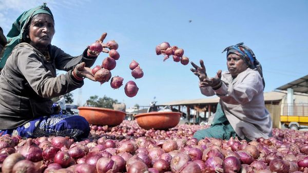 After Tomatoes, Could An Onion Crisis be Looming?