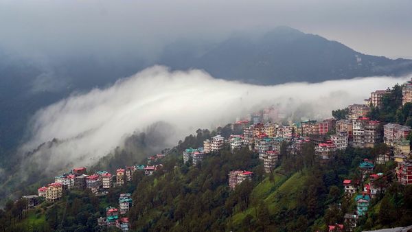 Explained: What Is Forest Conservation (Amendment) Bill?