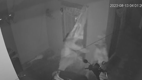 Caught On Camera: Woman Bravely Fights Off Robbery Attempt in Telangana