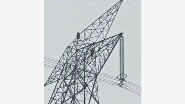 Caught On Camera: Boyfriend Follows Girl Up 80-Foot Tower In Desperate Attempt to Talk to Her