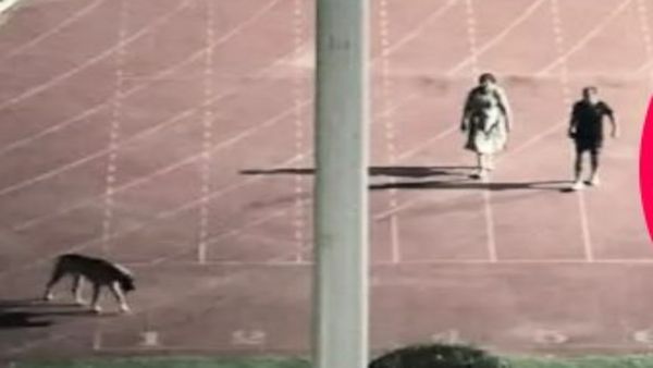 IAS Officer Who Emptied Delhi Stadium To Walk Dog Forced To Retire