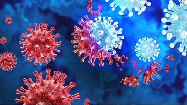 Disease X: The Unknown Pathogen That Could Kill 50 Million People