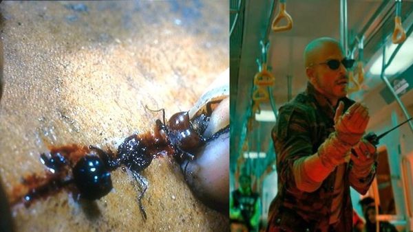 Jawan: Did Shah Rukh Khan-Starrer Movie Copy This Scene From Apocalypto?