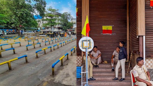 Karnataka Bandh Today: Will Schools, Namma Metro Be Closed? Will Cabs Be Available In Bengaluru?