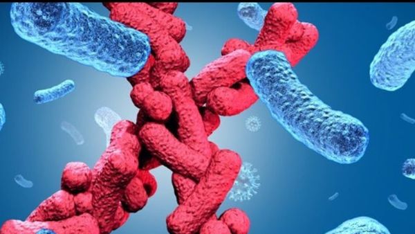 Explained! Four-Point Strategy To Fight Disease X